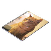 Kat Tassentas Notitieboek (Linkerzijde)