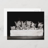 Kat Tea Party Briefkaart (Voorkant / Achterkant)