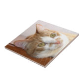 Kat-teeltegel Tegeltje (Zijkant)