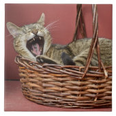 Kat-Tegel Tegeltje (Voorkant)