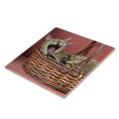 Kat-Tegel Tegeltje (Zijkant)