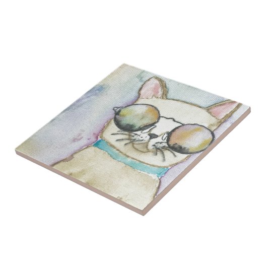 kat tegeltje (Zijkant)