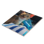 Kat tegeltje (Zijkant)