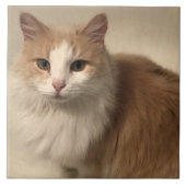 Kat Tegeltje (Voorkant)