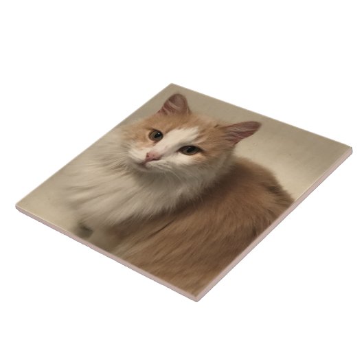 Kat Tegeltje (Zijkant)