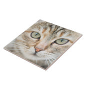 Kat Tegeltje (Zijkant)