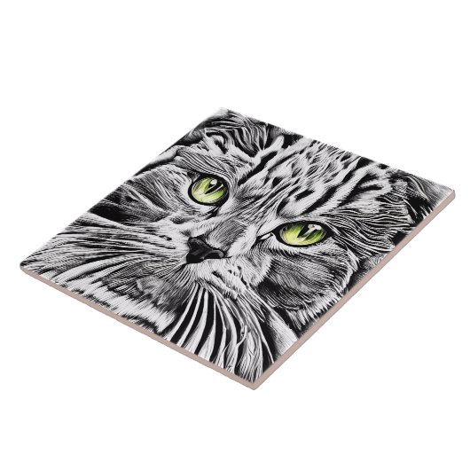 Kat Tegeltje (Zijkant)