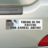 Kat tegen dierenmishandeling bumpersticker (Op auto)