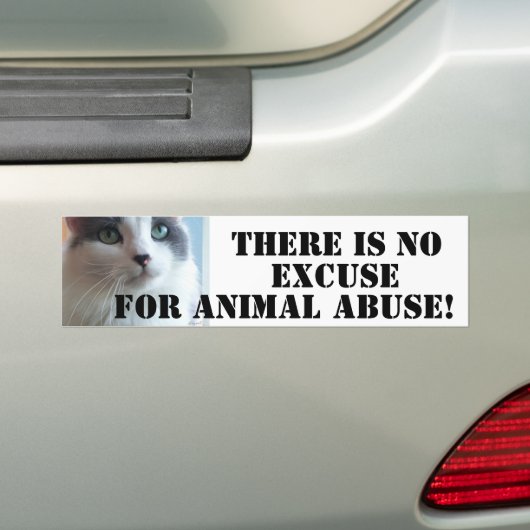 Kat tegen dierenmishandeling bumpersticker (Op auto)