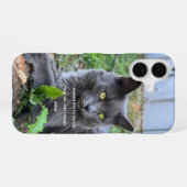 kat telefoonhoesje iPhone 16 hoesje (Achterkant horizontaal)