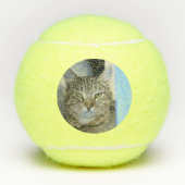 Kat Tennisballen (Voorkant)