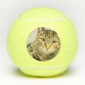 Kat Tennisballen (Voorkant)