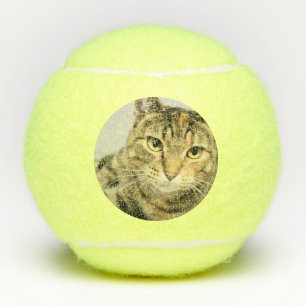 Kat Tennisballen