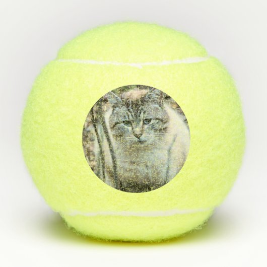 Kat Tennisballen (Voorkant)