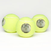 Kat Tennisballen (Multi)