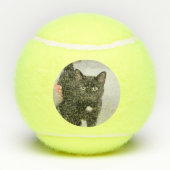 Kat Tennisballen (Achterkant)