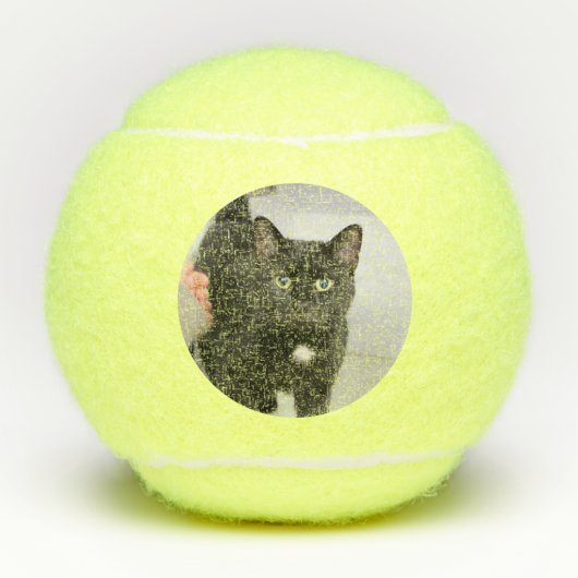 Kat Tennisballen (Voorkant)