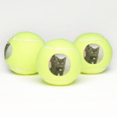 Kat Tennisballen (Multi)