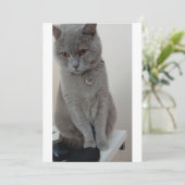 kat test kaart (Staand voorkant)
