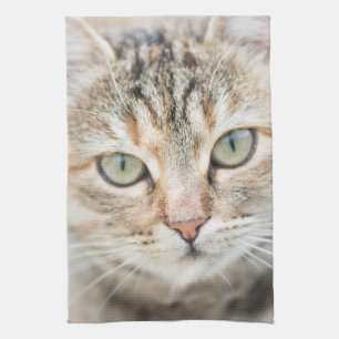 Kat Theedoek