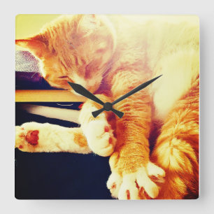 Kat tijd vierkante klok