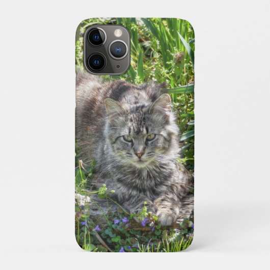 Kat tijdens eclips Case-Mate iPhone case (Achterkant)