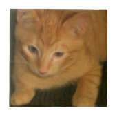 Kat Tile Tegeltje (Voorkant)