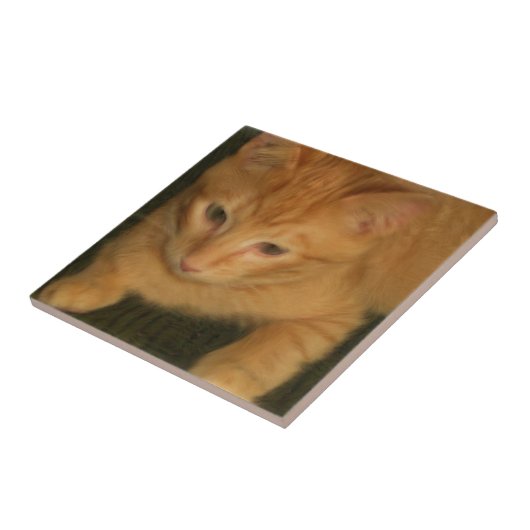 Kat Tile Tegeltje (Zijkant)