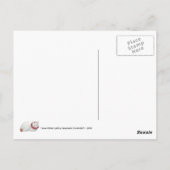 Kat Time Briefkaart (Achterkant)