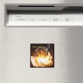 Kat Toekomst in onze handen Magneet (Insitu (Vaatwasser))