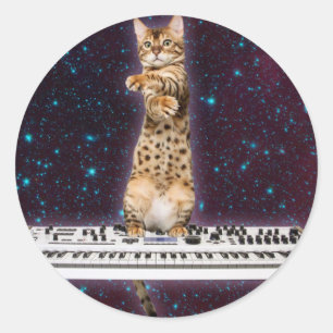 Kat-toetsenbord valt weer aan ronde sticker