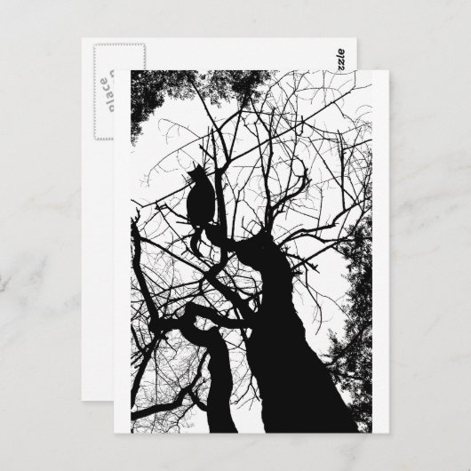 KAT TREE SILHOUETTE B&W BRIEFKAART (Voorkant / Achterkant)