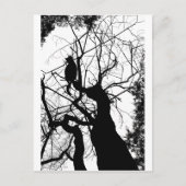 KAT TREE SILHOUETTE B&W BRIEFKAART (Voorkant)