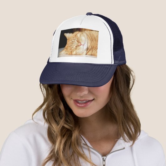 kat trucker pet (In situ)