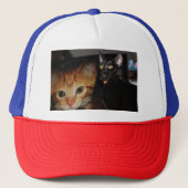 Kat Trucker Pet (Voorkant)