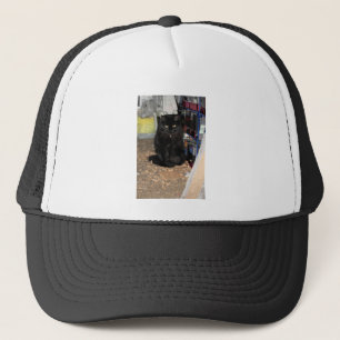 Kat Trucker Pet
