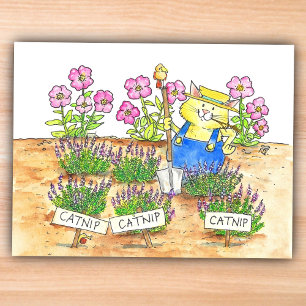 Kat Tuinman  Briefkaart