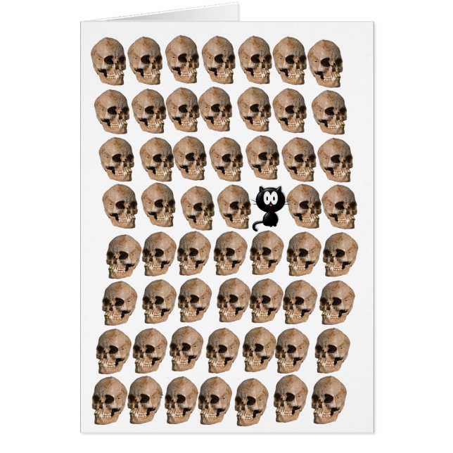 Kat tussen de schedels (Voorkant)