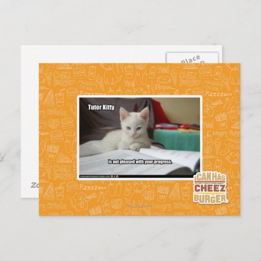 Kat Tutor Briefkaart (Voorkant / Achterkant)