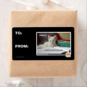 Kat Tutor Etiket (Insitu)