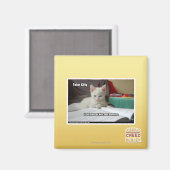 Kat Tutor Magneet (Voorkant / Achterkant)