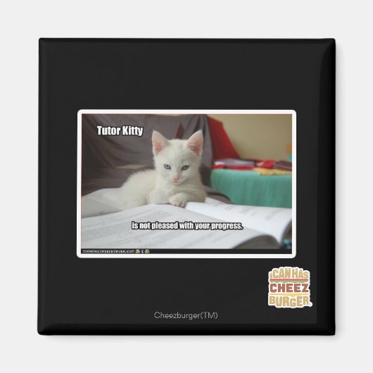 Kat Tutor Magneet (Voorkant)