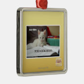 Kat Tutor Metalen Ornament (Rechts)