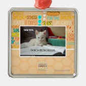 Kat Tutor Metalen Ornament (Voorkant)