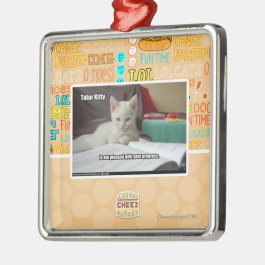 Kat Tutor Metalen Ornament (Links)