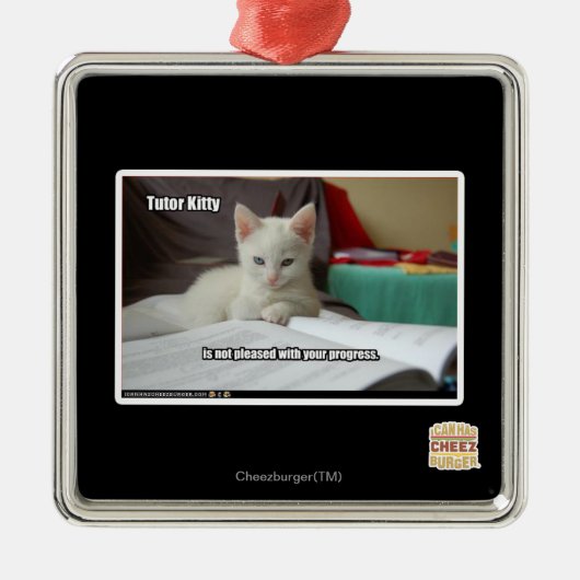 Kat Tutor Metalen Ornament (Voorkant)