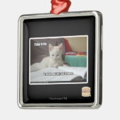 Kat Tutor Metalen Ornament (Links)