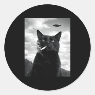 Kat Ufo Meme Selfie Alien Ronde Sticker