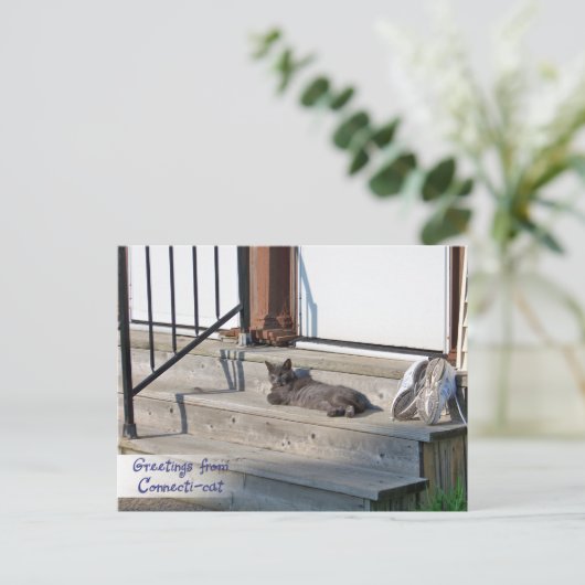 Kat uit Connecticut (Connecti-cat) Briefkaart (Staand voorkant)