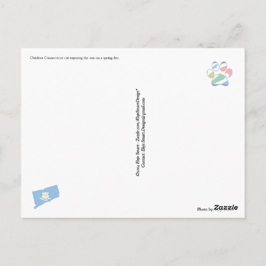 Kat uit Connecticut (Connecti-cat) Briefkaart (Achterkant)